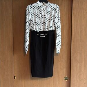 Elegant Venus Business Dress